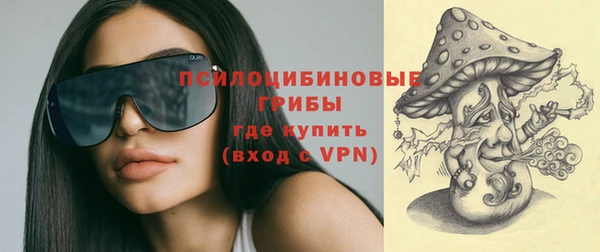 молекула духа Заводоуковск