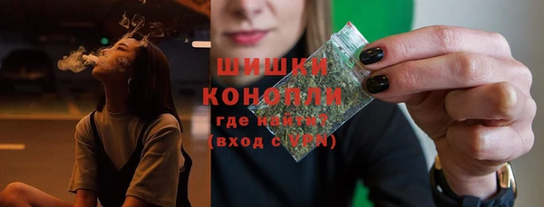 молекула духа Заводоуковск
