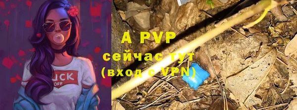 молекула духа Заводоуковск