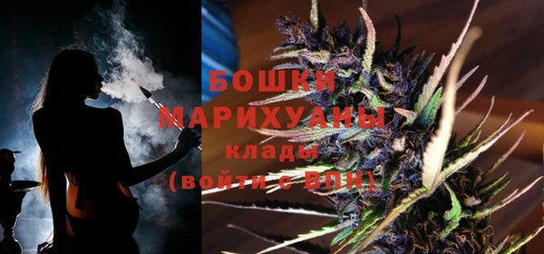 молекула духа Заводоуковск