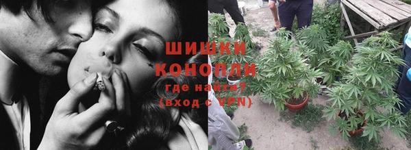 молекула духа Заводоуковск